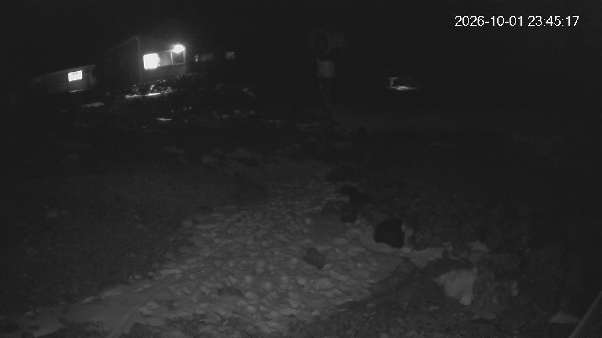 Whakapapa Hut Flat snow cam captured at 1 October 2026 at 11:48 pm NZDT