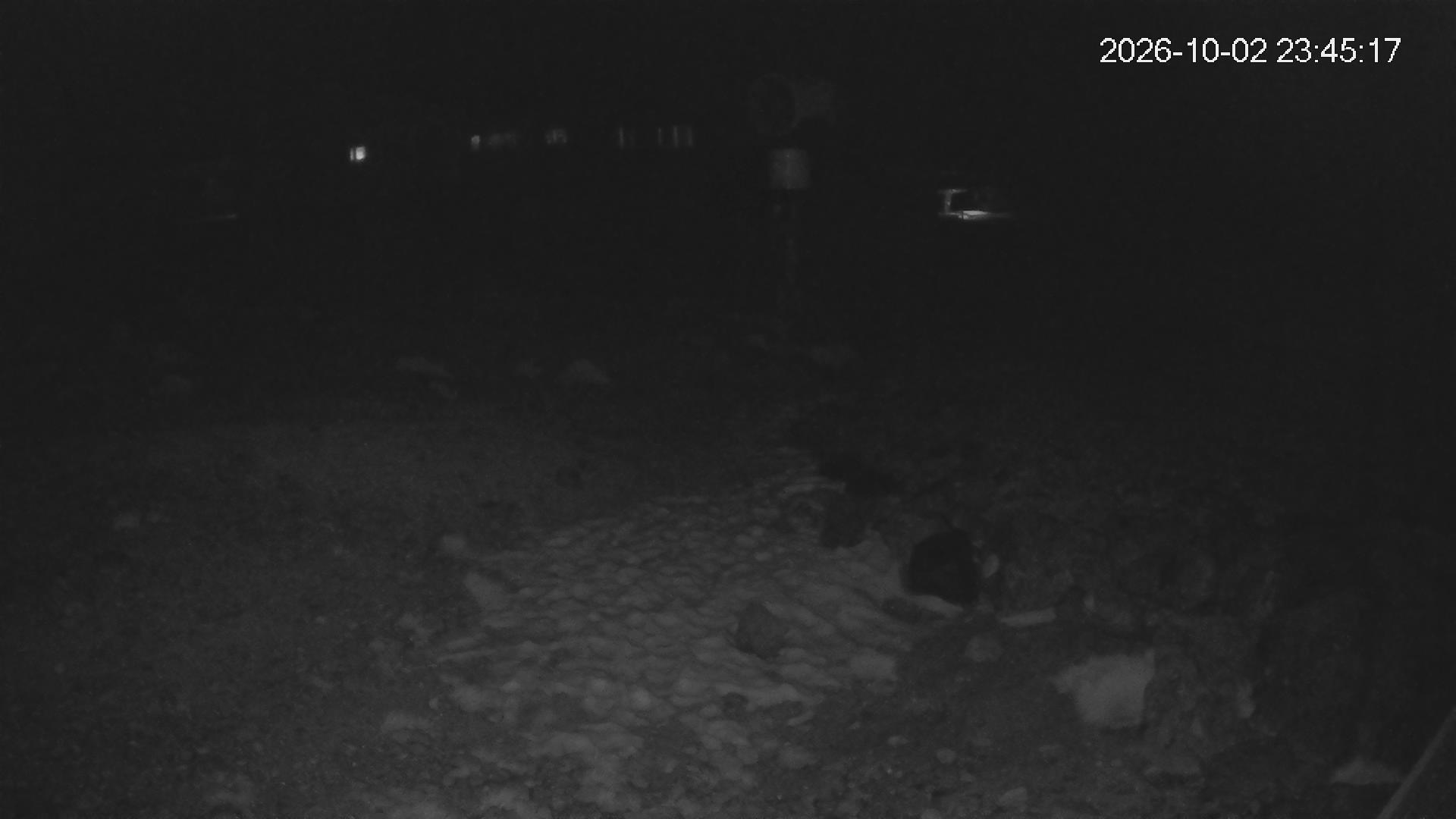 Whakapapa Hut Flat snow cam captured at 2 October 2026 at 11:47 pm NZDT