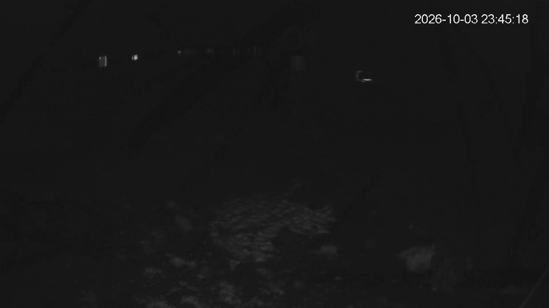 Whakapapa Hut Flat snow cam captured at 3 October 2026 at 11:47 pm NZDT