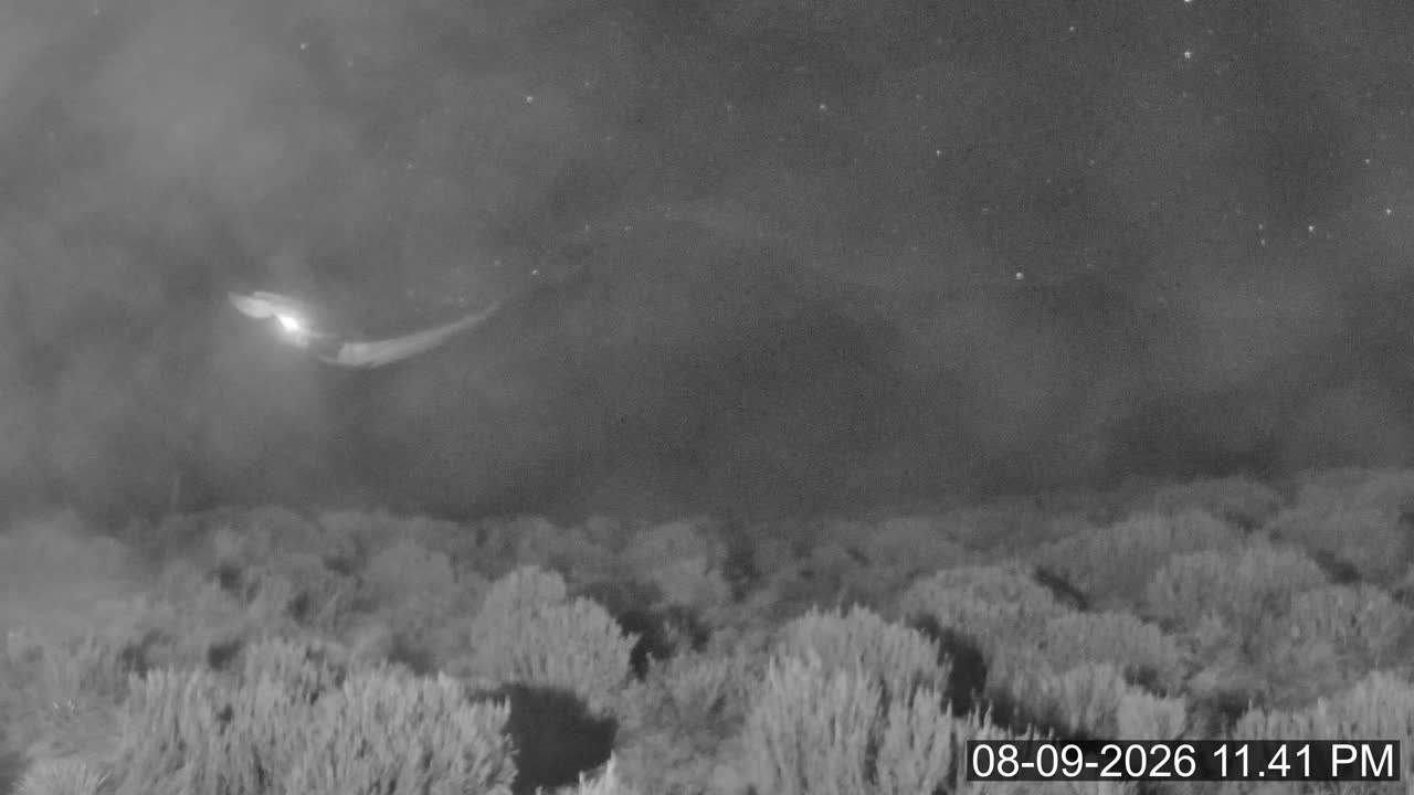 Porters Lodge snow cam captured at 8 September 2026 at 11:54 pm NZST