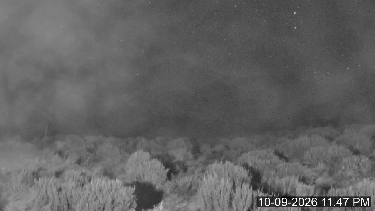 Porters Lodge snow cam captured at 10 September 2026 at 11:53 pm NZST