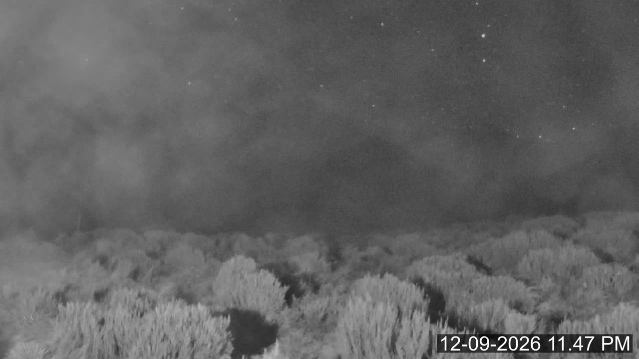 Porters Lodge snow cam captured at 12 September 2026 at 11:55 pm NZST