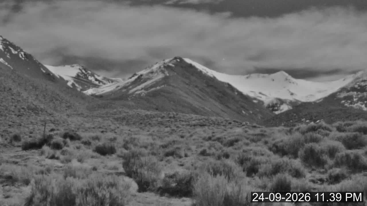 Porters Lodge snow cam captured at 24 September 2026 at 11:53 pm NZST