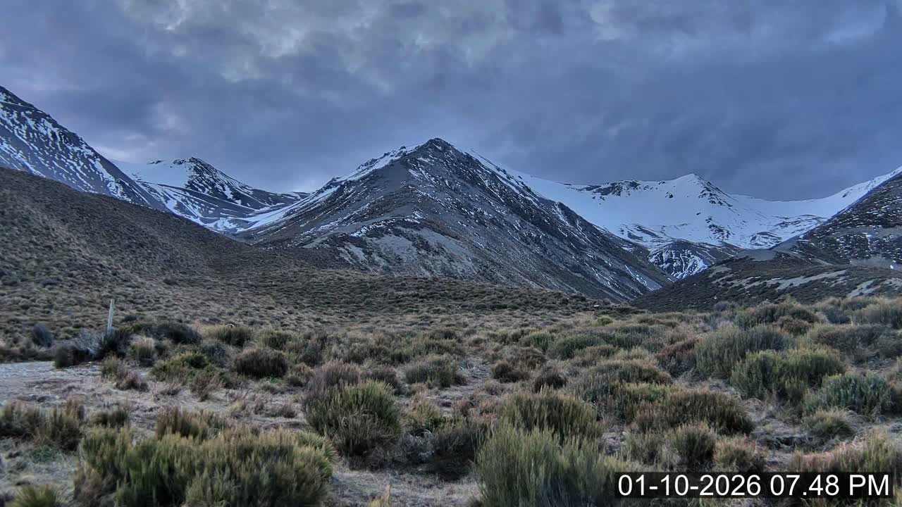 Porters Lodge snow cam captured at 1 October 2026 at 8:15 pm NZDT