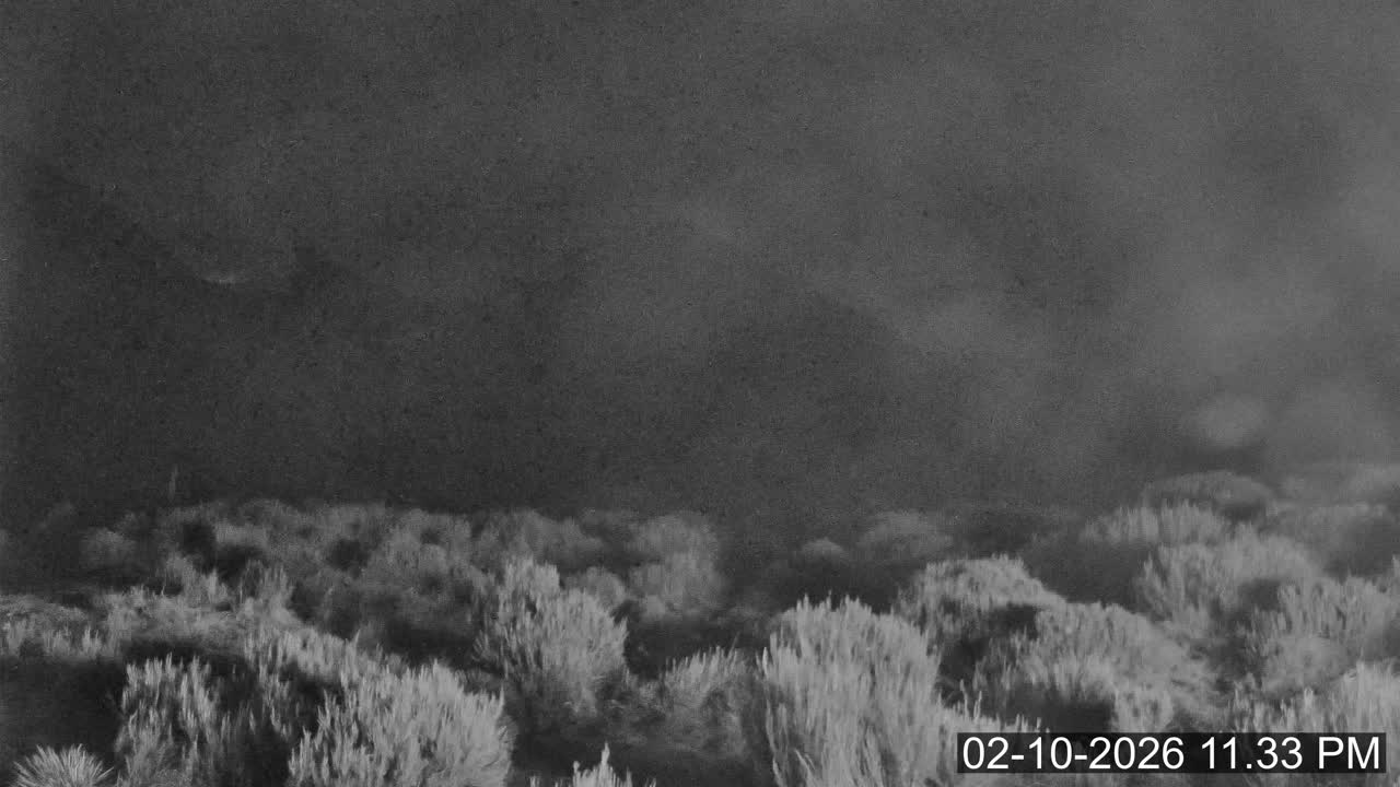 Porters Lodge snow cam captured at 2 October 2026 at 11:51 pm NZDT