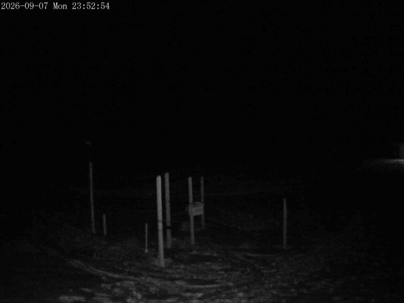 Mt Olympus Snowstake snow cam captured at 7 September 2026 at 11:48 pm NZST