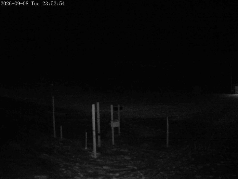 Mt Olympus Snowstake snow cam captured at 8 September 2026 at 11:48 pm NZST