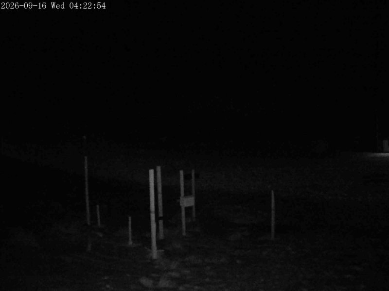 Mt Olympus Snowstake snow cam captured at 16 September 2026 at 4:15 am NZST