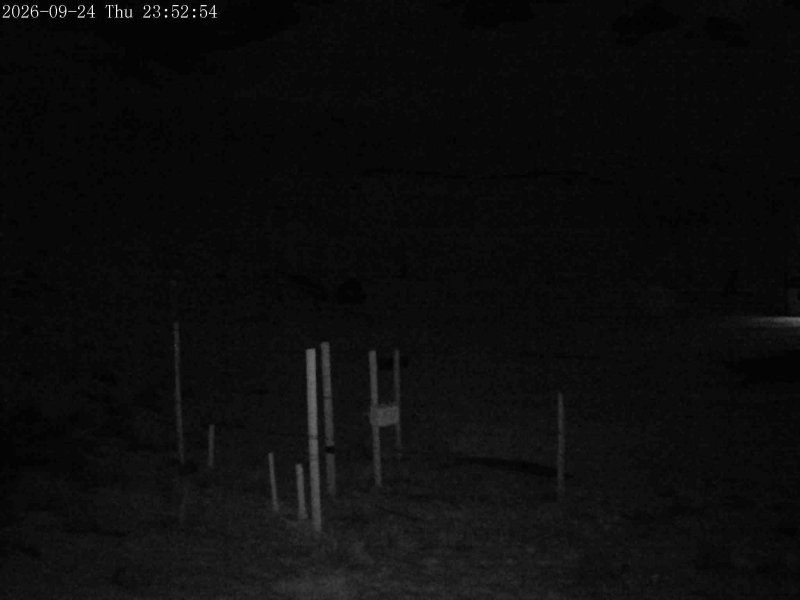 Mt Olympus Snowstake snow cam captured at 24 September 2026 at 11:50 pm NZST