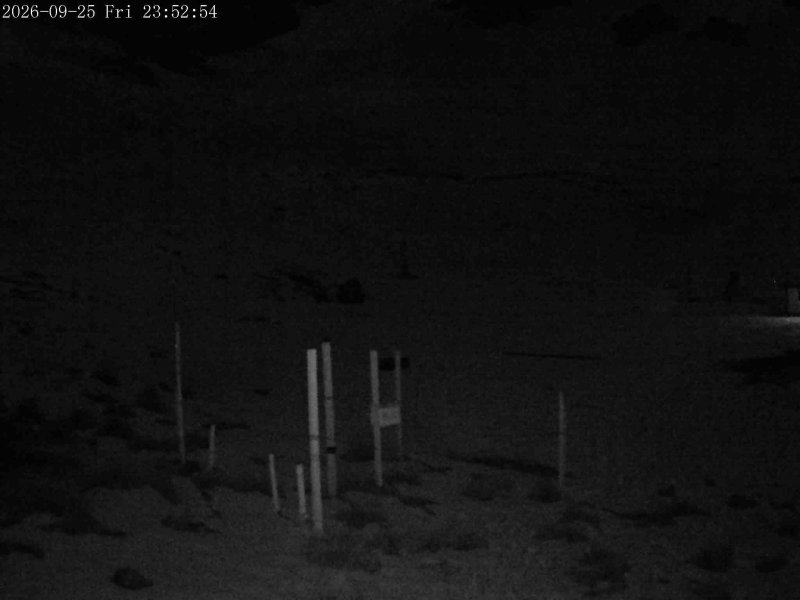 Mt Olympus Snowstake snow cam captured at 25 September 2026 at 11:50 pm NZST