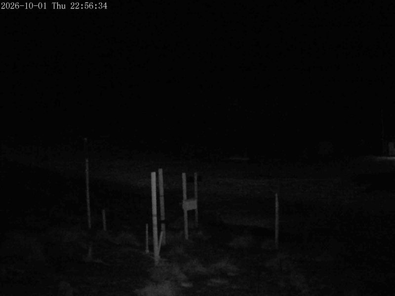 Mt Olympus Snowstake snow cam captured at 1 October 2026 at 11:46 pm NZDT