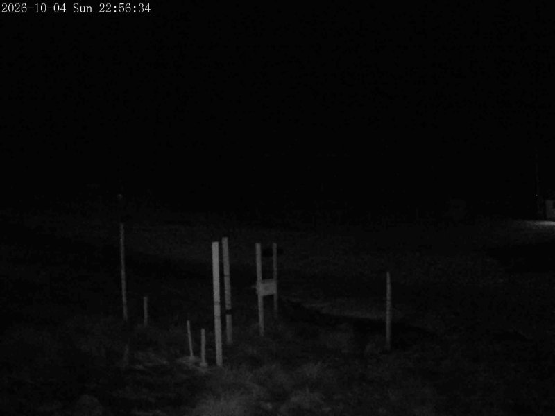 Mt Olympus Snowstake snow cam captured at 4 October 2026 at 11:50 pm NZDT