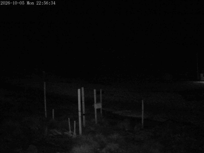 Mt Olympus Snowstake snow cam captured at 5 October 2026 at 11:47 pm NZDT