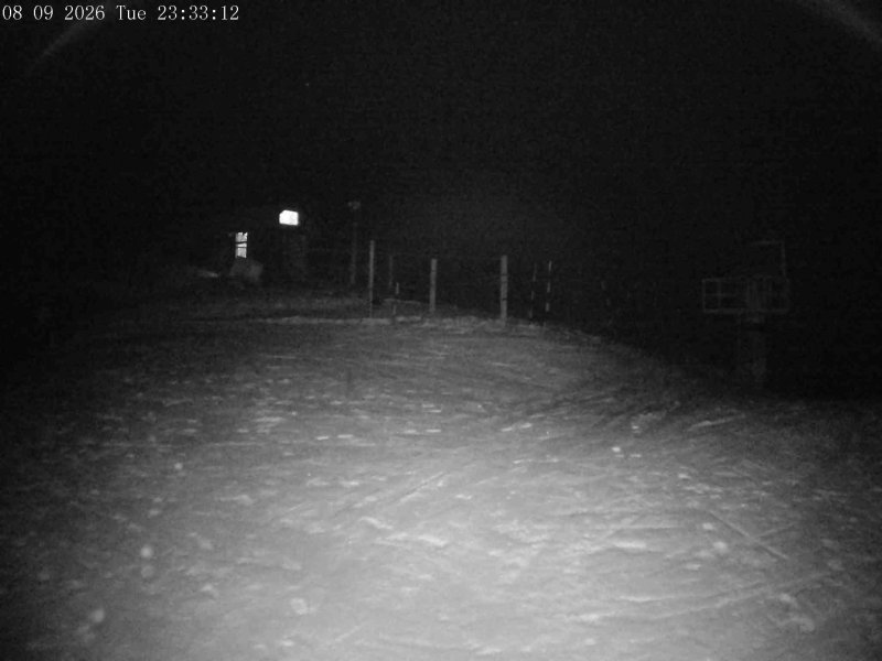 Mt Olympus Main Tow Top snow cam captured at 8 September 2026 at 11:36 pm NZST