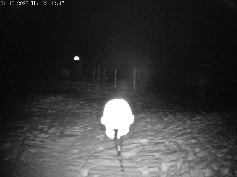 Mt Olympus Main Tow Top snow cam captured at 1 October 2026 at 11:46 pm NZDT
