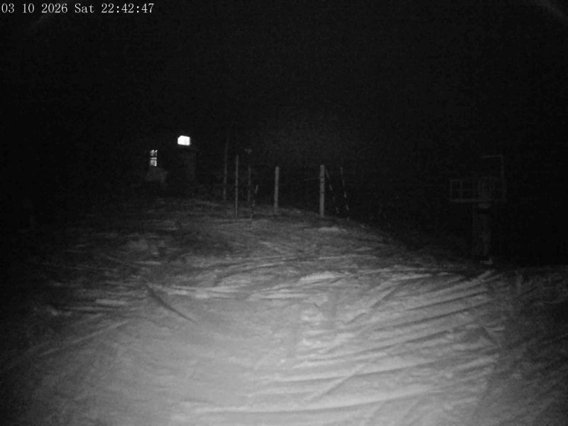 Mt Olympus Main Tow Top snow cam captured at 3 October 2026 at 11:45 pm NZDT