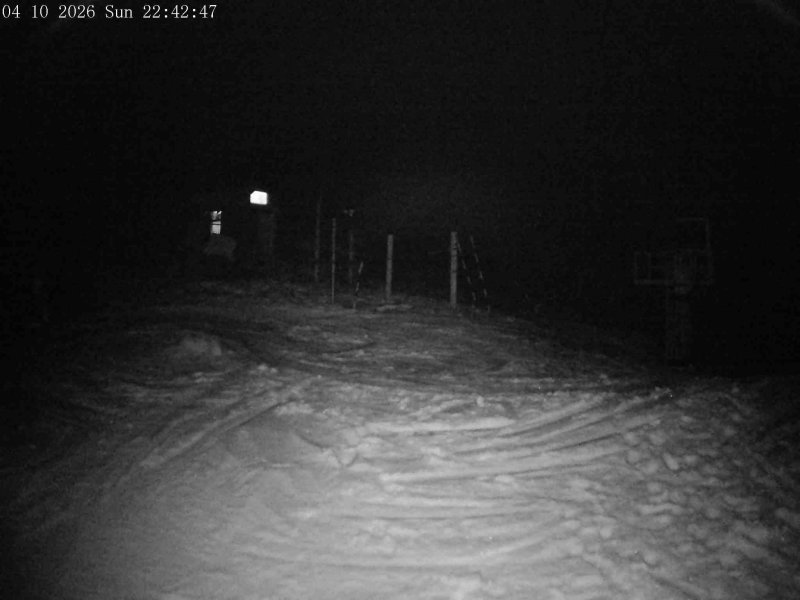 Mt Olympus Main Tow Top snow cam captured at 4 October 2026 at 11:50 pm NZDT