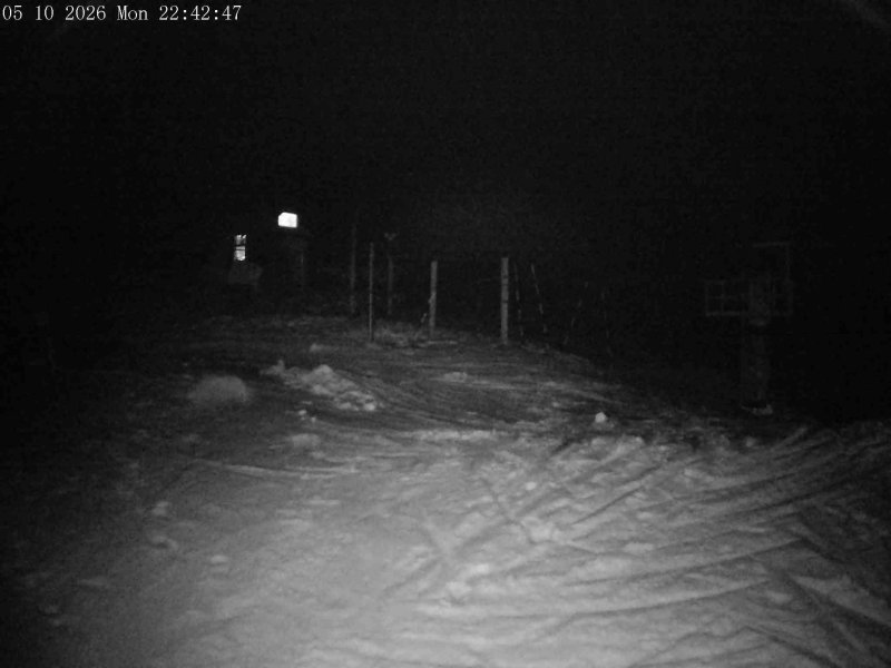 Mt Olympus Main Tow Top snow cam captured at 5 October 2026 at 11:47 pm NZDT