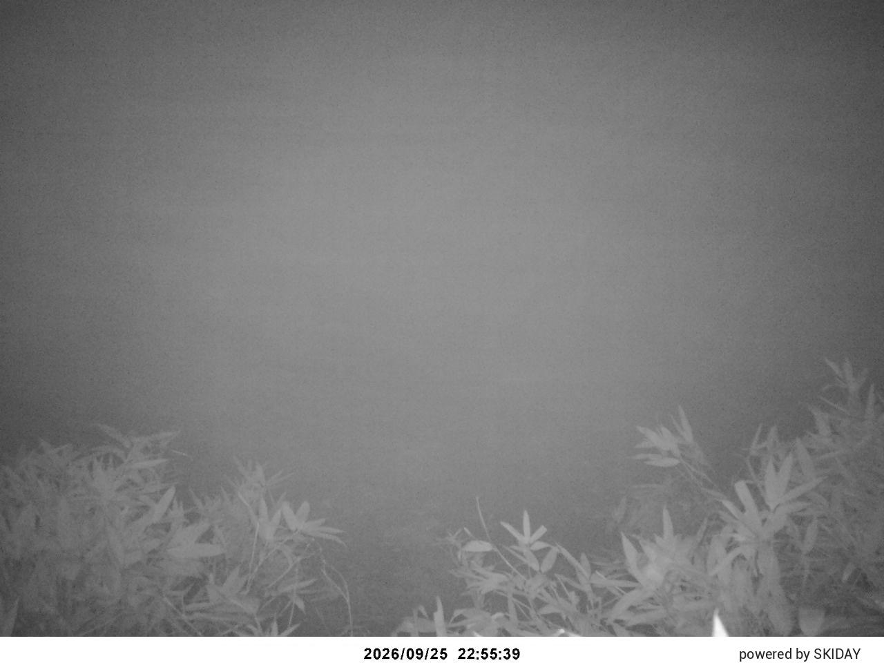 Bibai Kokusetsu Ski Slope snow cam captured at 25 September 2026 at 11:49 pm GMT+9