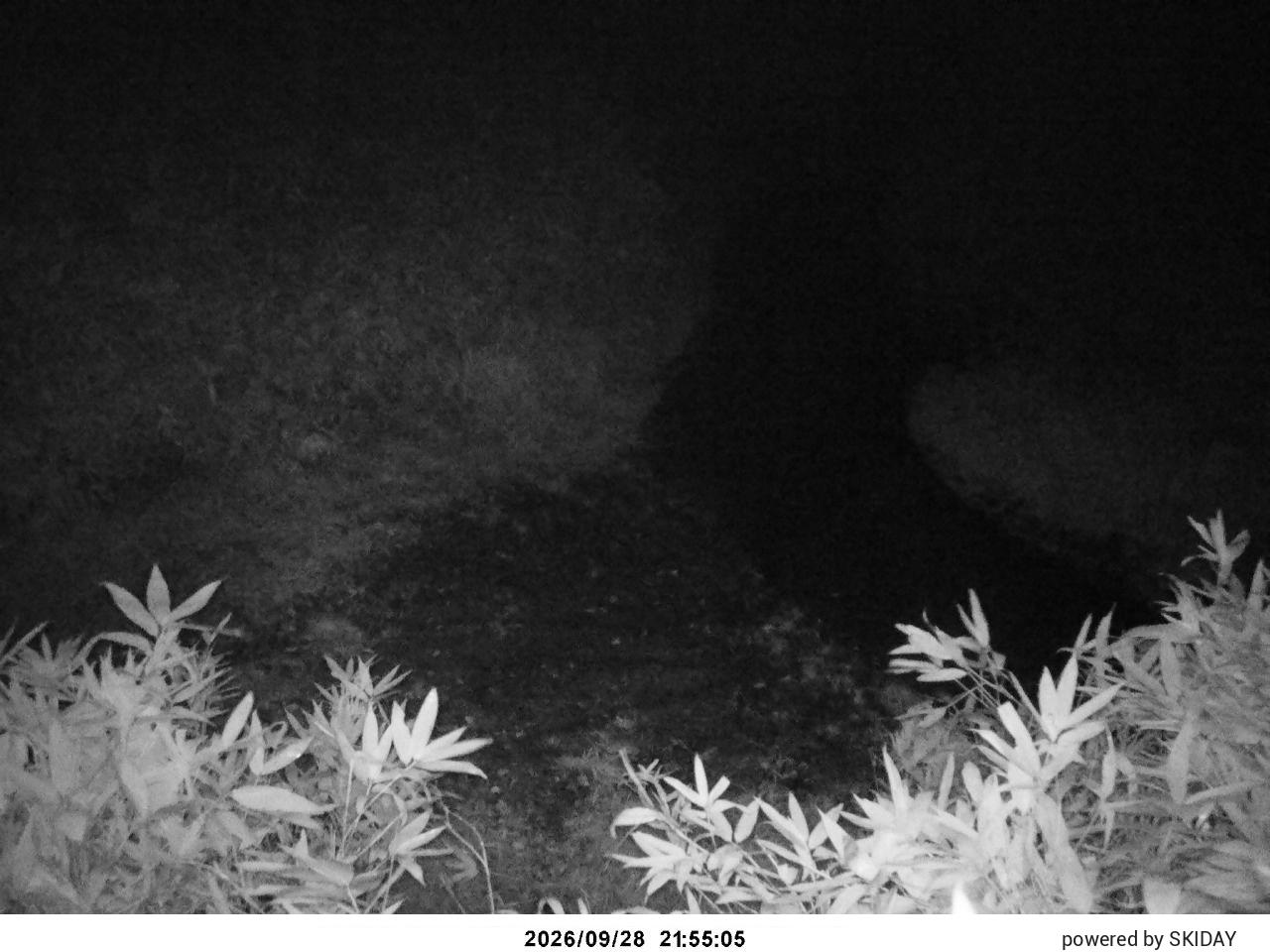 Bibai Kokusetsu Ski Slope snow cam captured at 28 September 2026 at 10:59 pm GMT+9