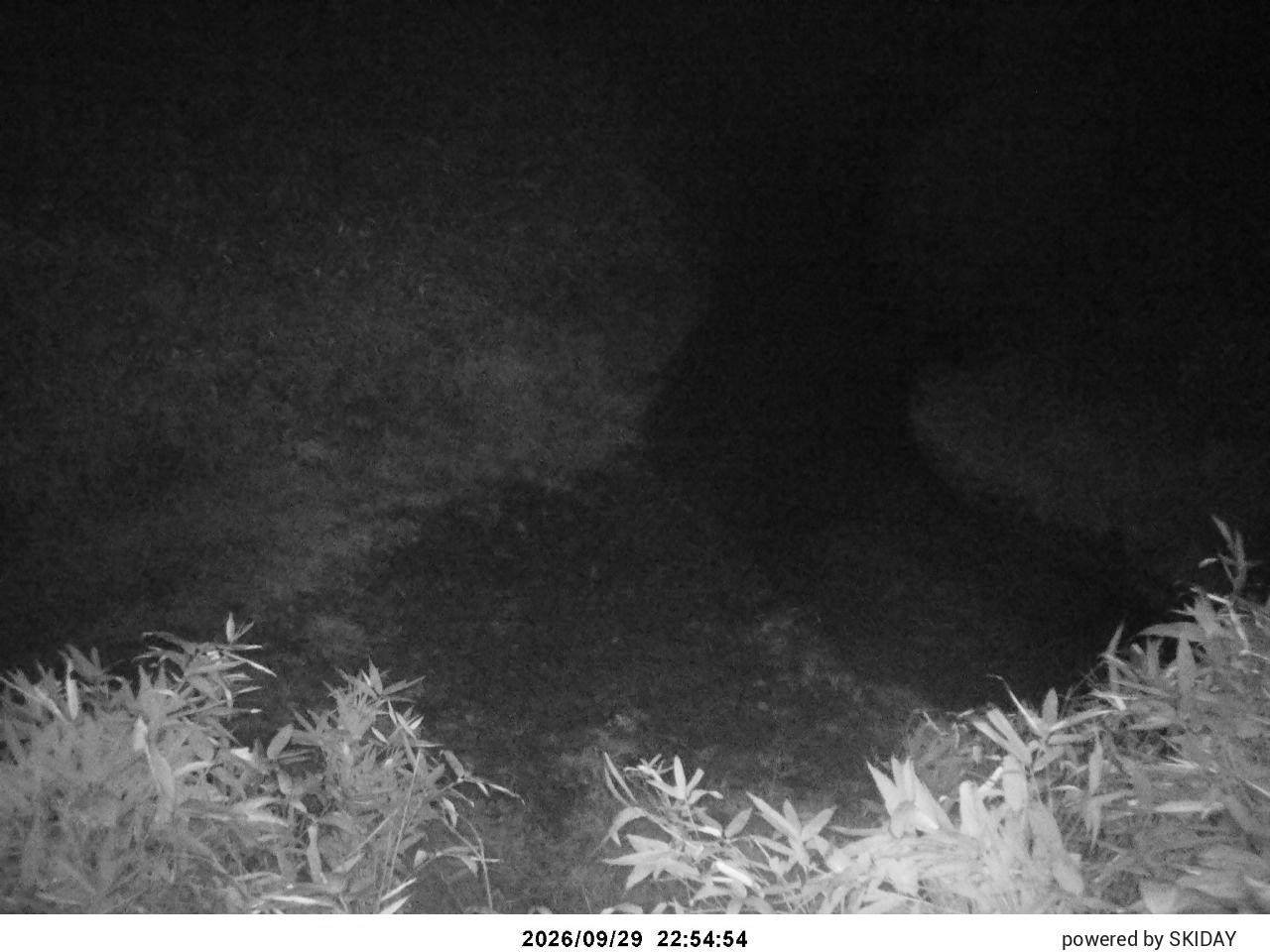 Bibai Kokusetsu Ski Slope snow cam captured at 29 September 2026 at 11:59 pm GMT+9