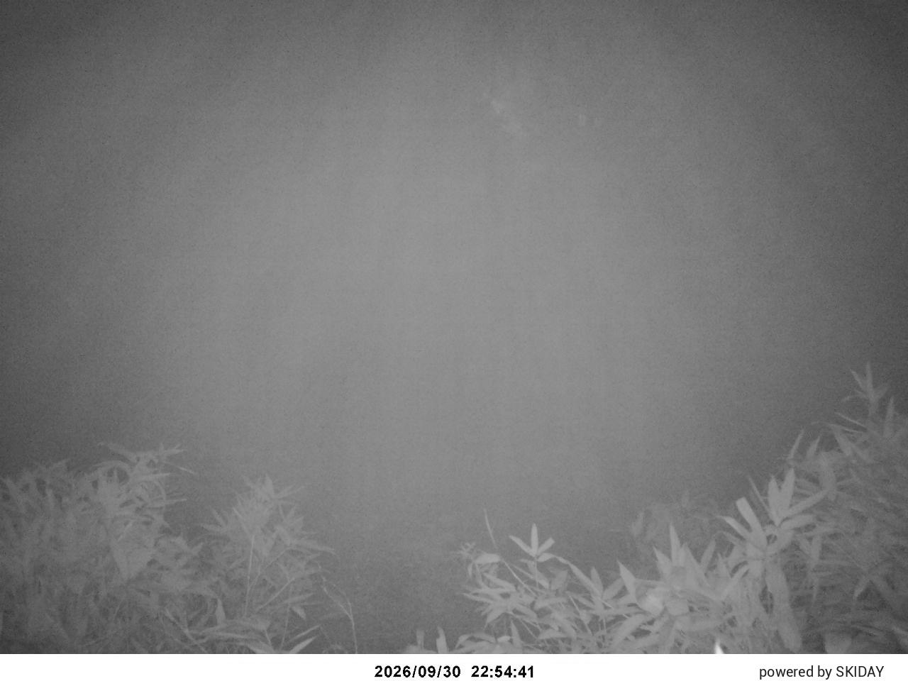 Bibai Kokusetsu Ski Slope snow cam captured at 30 September 2026 at 11:30 pm GMT+9