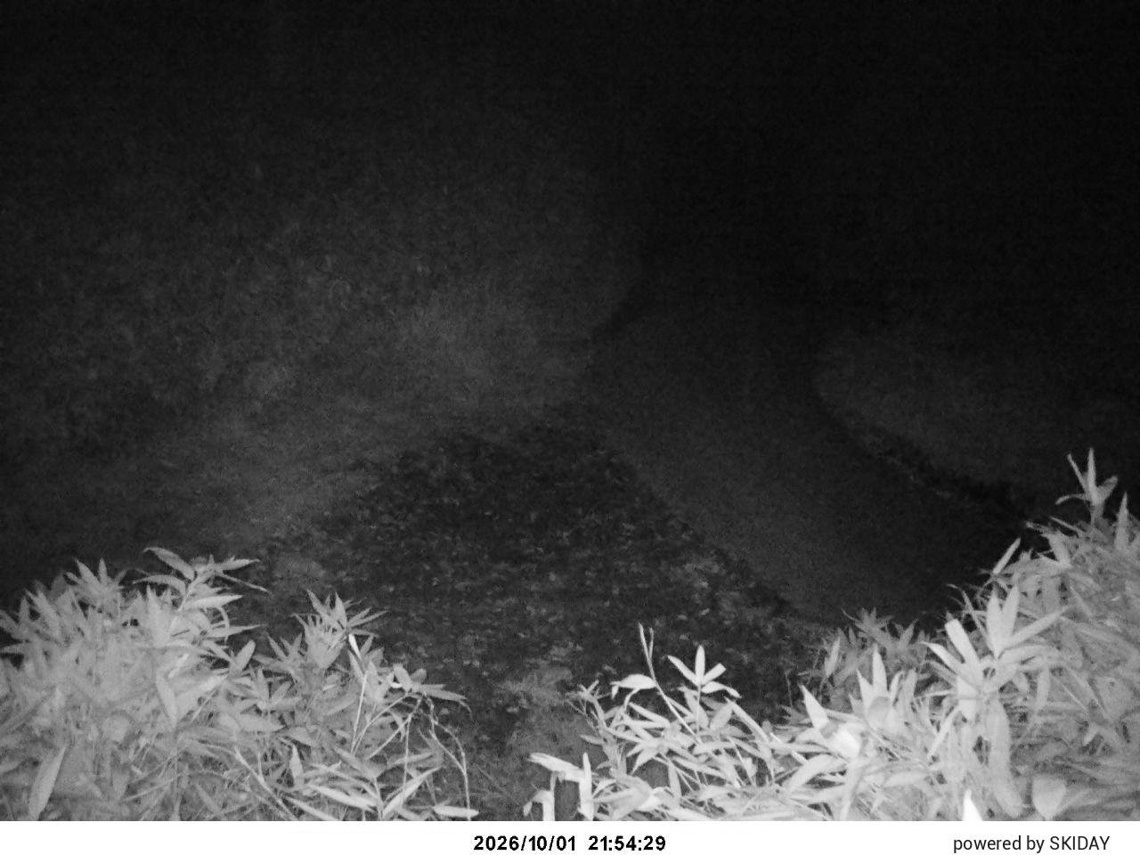 Bibai Kokusetsu Ski Slope snow cam captured at 1 October 2026 at 11:09 pm GMT+9