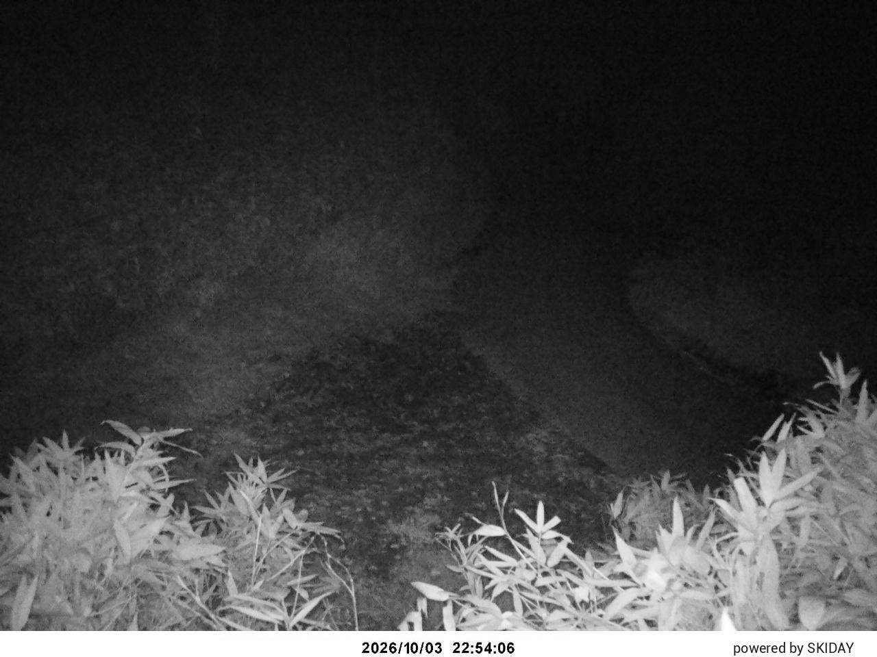 Bibai Kokusetsu Ski Slope snow cam captured at 3 October 2026 at 11:59 pm GMT+9