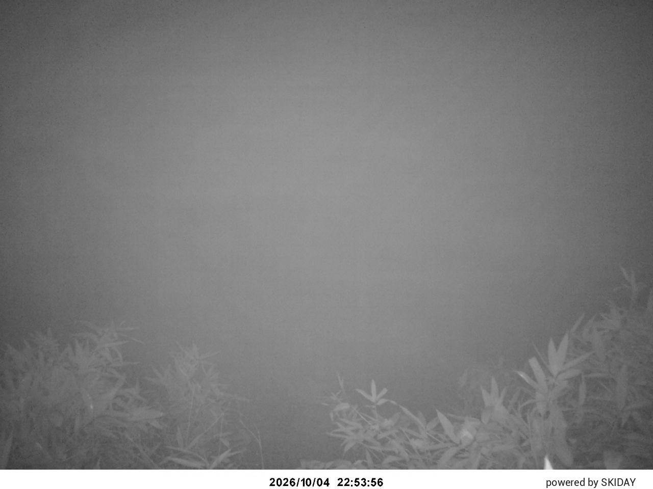 Bibai Kokusetsu Ski Slope snow cam captured at 4 October 2026 at 11:27 pm GMT+9