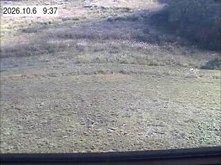 Kiroro Nagamine Area 2 snow cam captured at 6 October 2026 at 10:32 am GMT+9