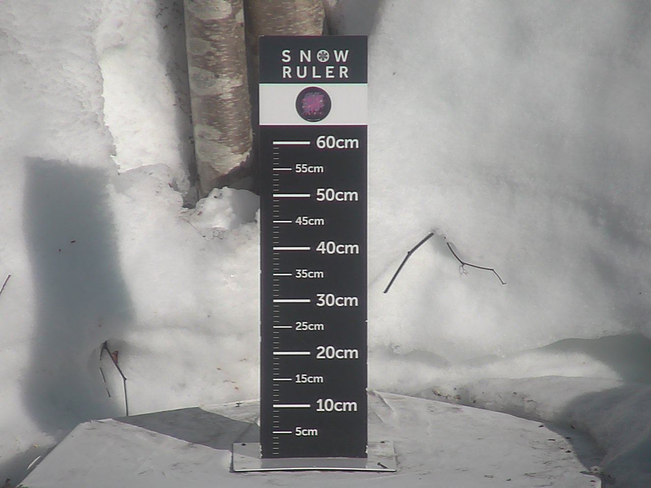 Rusutsu Mt Isola · 24-Hour Snowfall Camera snow cam captured at 10 September 2026 at 11:34 pm GMT+9