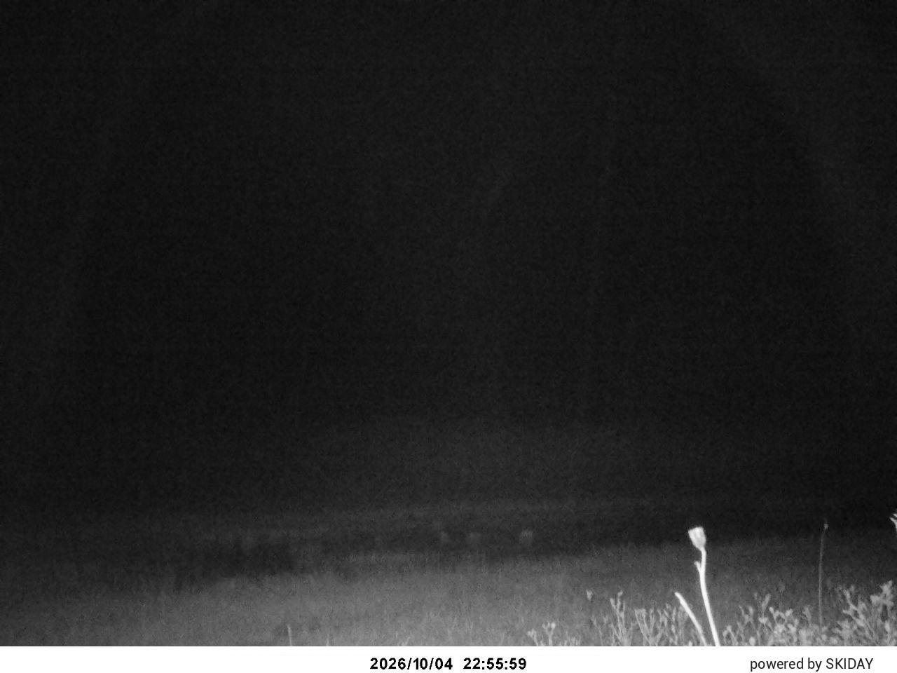 Geto Kogen Near Stream Entrance snow cam captured at 4 October 2026 at 11:17 pm GMT+9