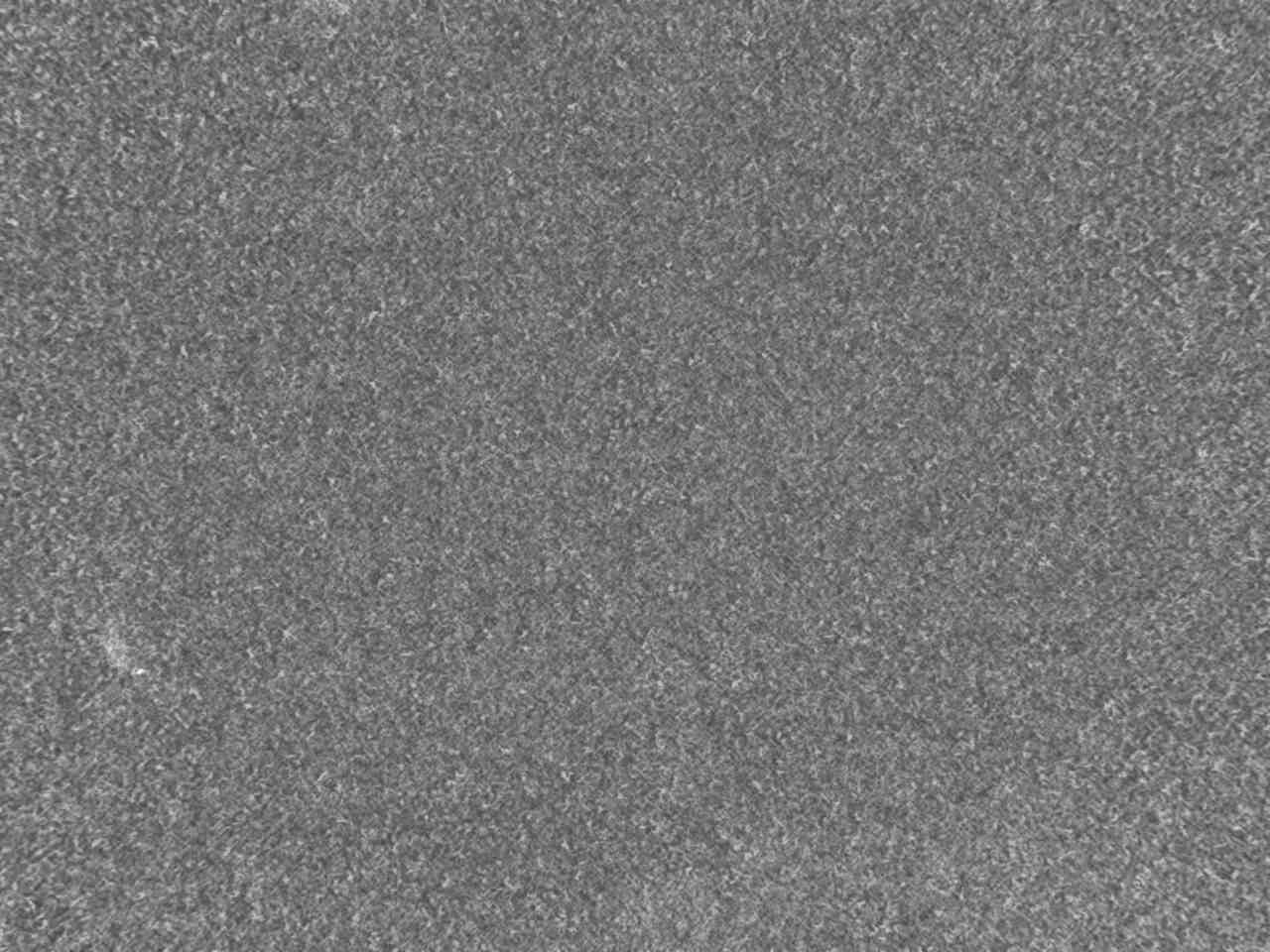 Eboshi Gondola Boarding Area snow cam captured at 22 September 2026 at 11:51 pm GMT+9
