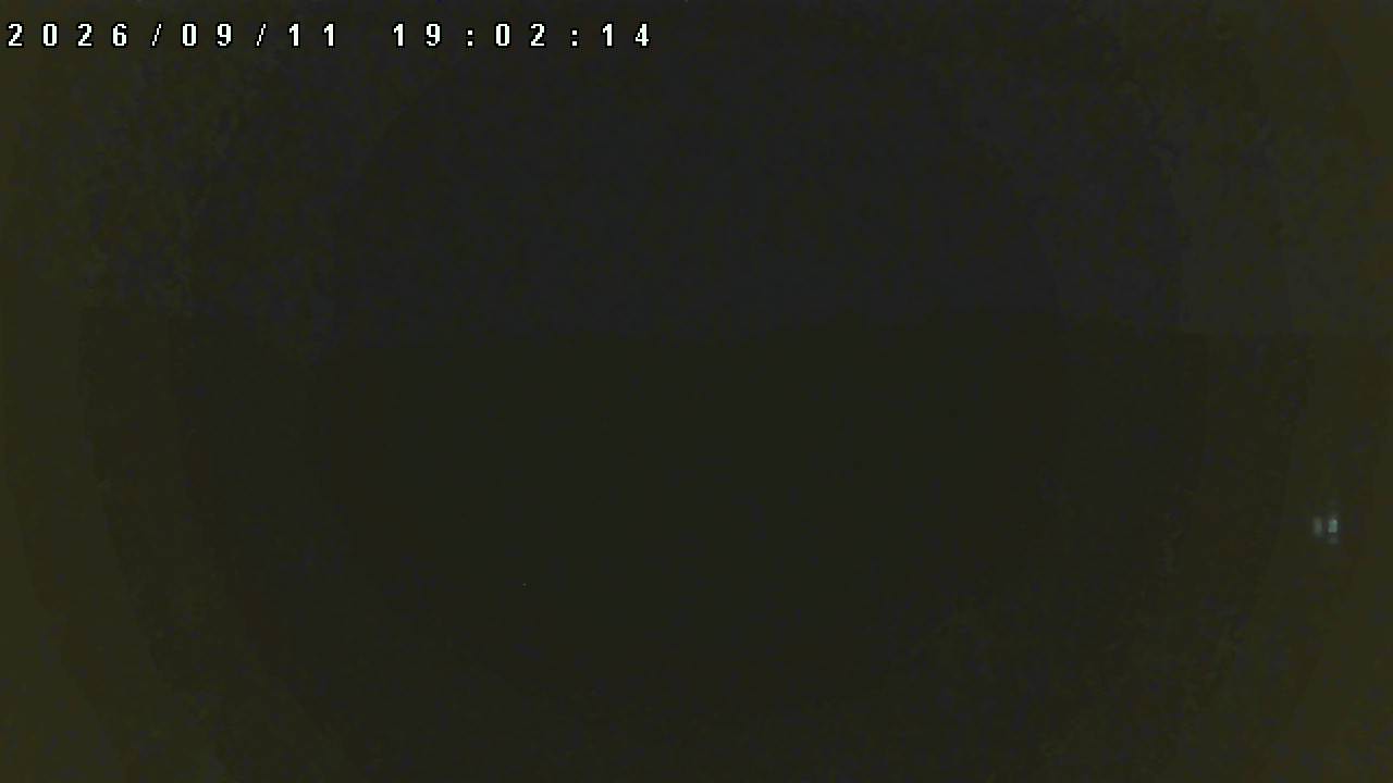 Akita Hachimantai Cam1 snow cam captured at 11 September 2026 at 7:57 pm GMT+9