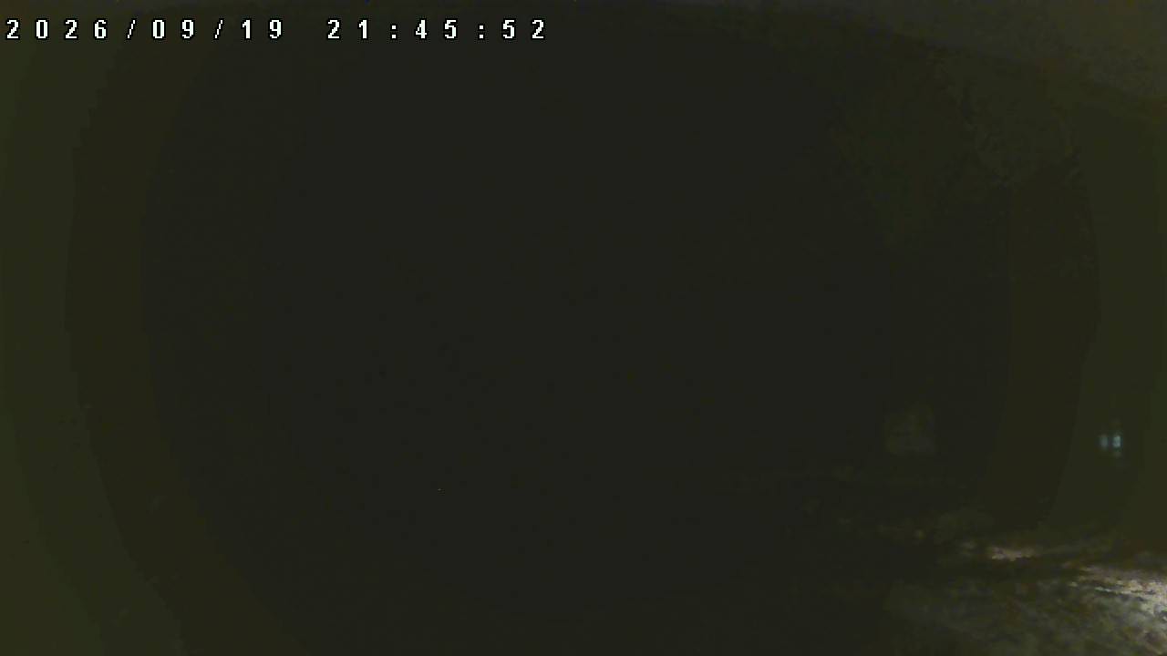 Akita Hachimantai Cam1 snow cam captured at 19 September 2026 at 10:33 pm GMT+9