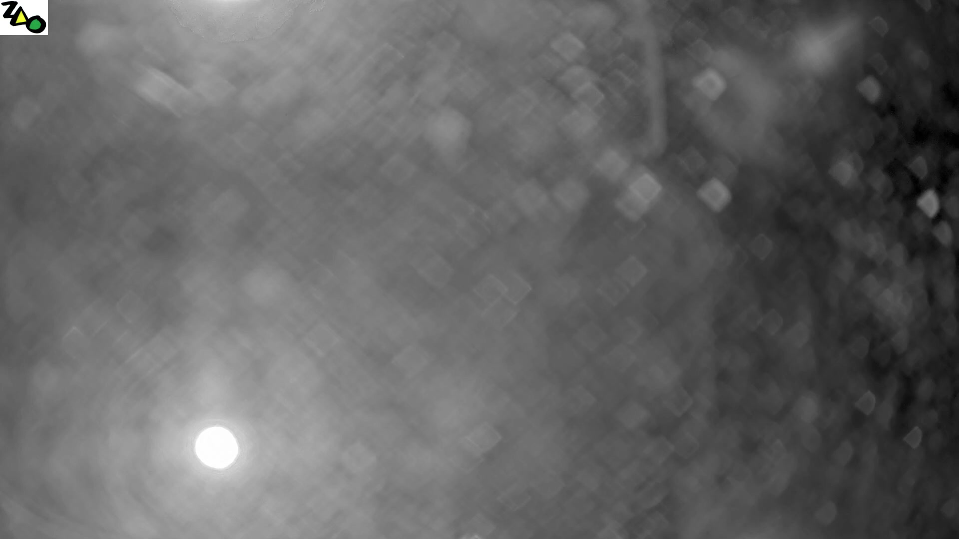 Zao Onsen Omori Car Park snow cam captured at 22 September 2026 at 11:12 pm GMT+9