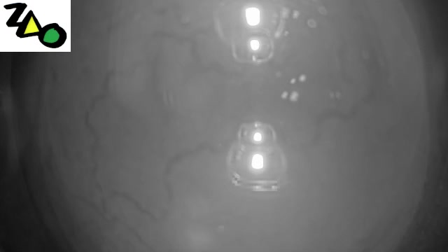 Zao Onsen Juhyo Kogen Station · Summit Line Platform snow cam captured at 12 September 2026 at 11:28 pm GMT+9