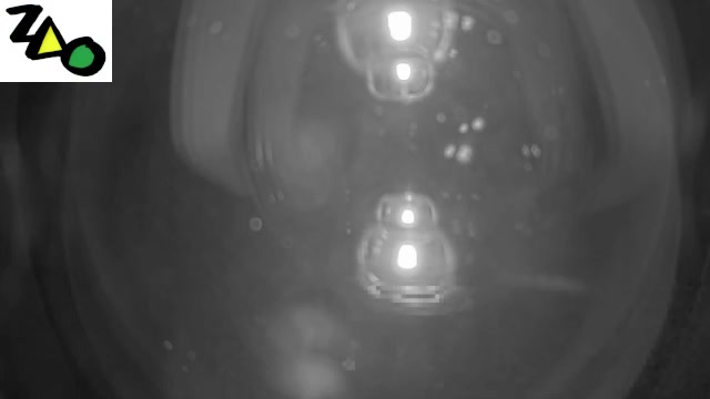 Zao Onsen Juhyo Kogen Station · Summit Line Platform snow cam captured at 14 September 2026 at 11:39 pm GMT+9
