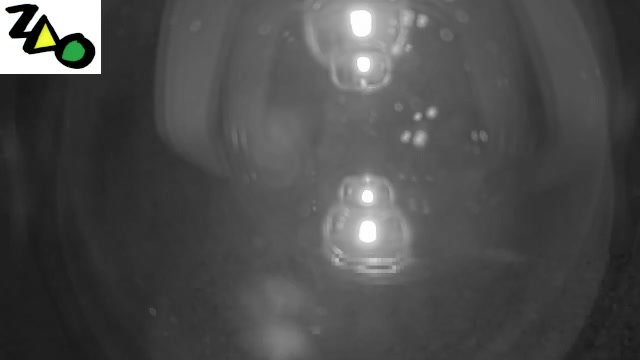 Zao Onsen Juhyo Kogen Station · Summit Line Platform snow cam captured at 29 September 2026 at 10:59 pm GMT+9