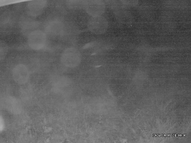Urabandai Ura Bandai snow cam captured at 4 October 2026 at 11:19 pm GMT+9