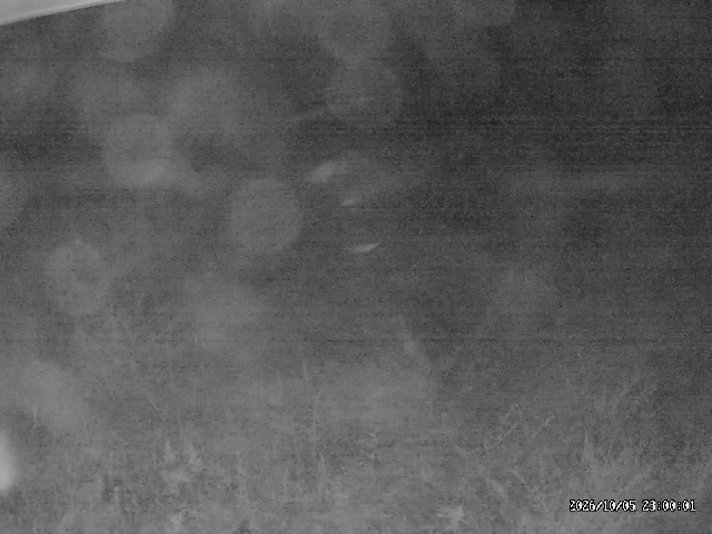 Urabandai Ura Bandai snow cam captured at 5 October 2026 at 11:53 pm GMT+9