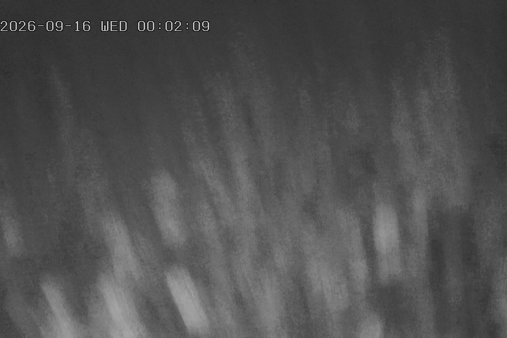 Edelweiss archive representative frame captured at 16 September 2026 at 1:55 am AEST