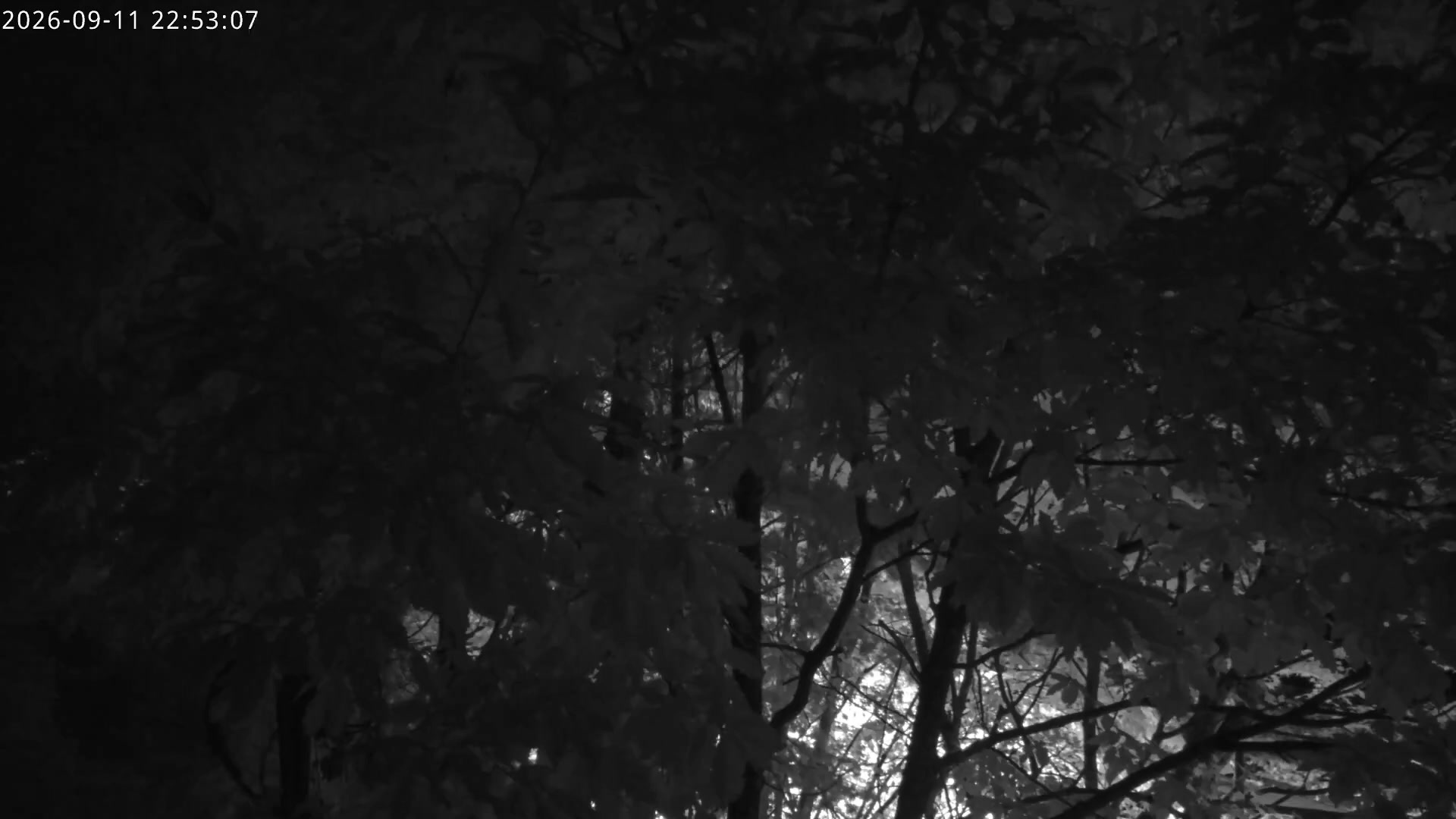 Hunter KIDS PARK snow cam captured at 11 September 2026 at 11:01 pm GMT+9