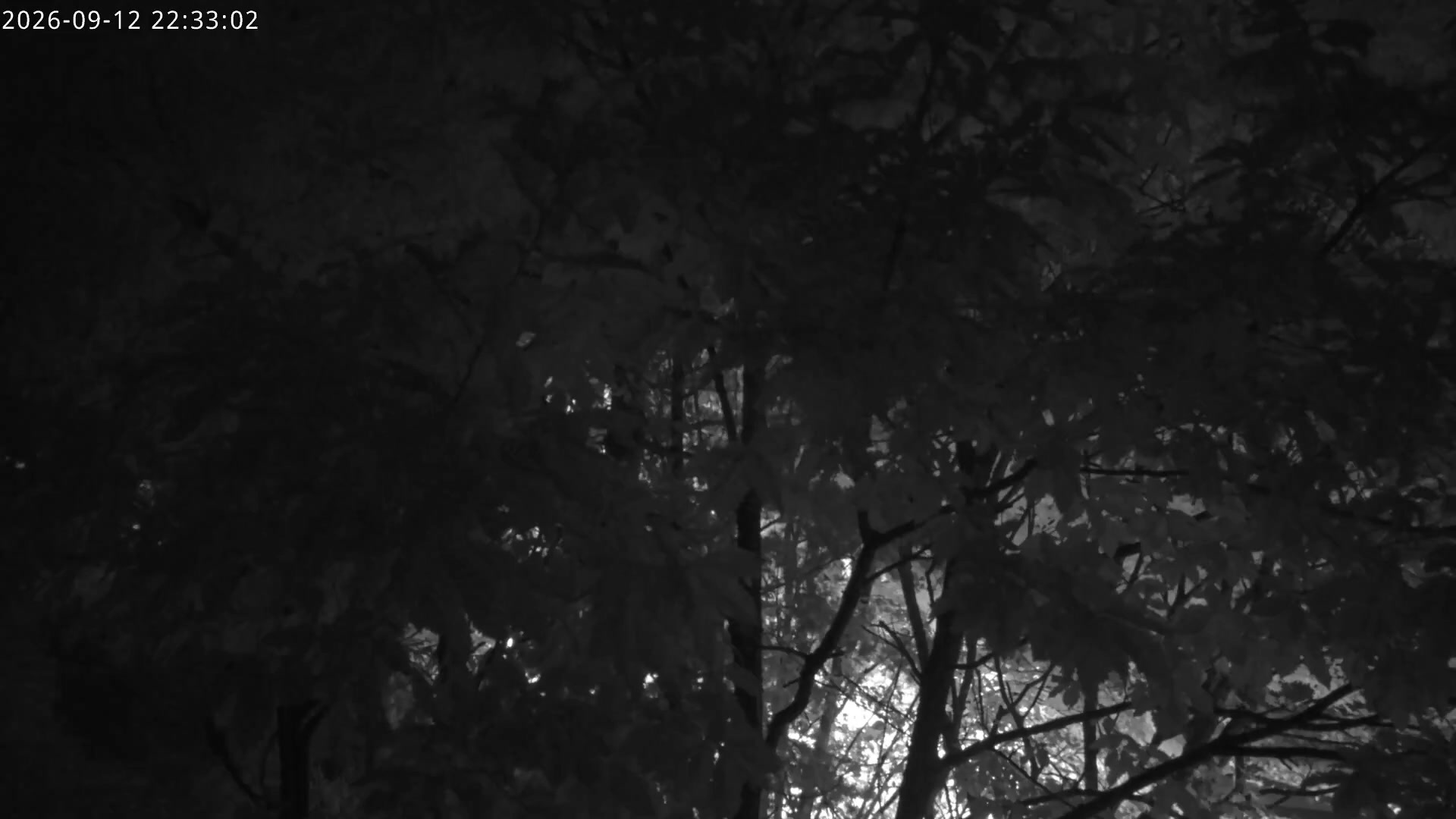 Hunter KIDS PARK snow cam captured at 12 September 2026 at 11:26 pm GMT+9