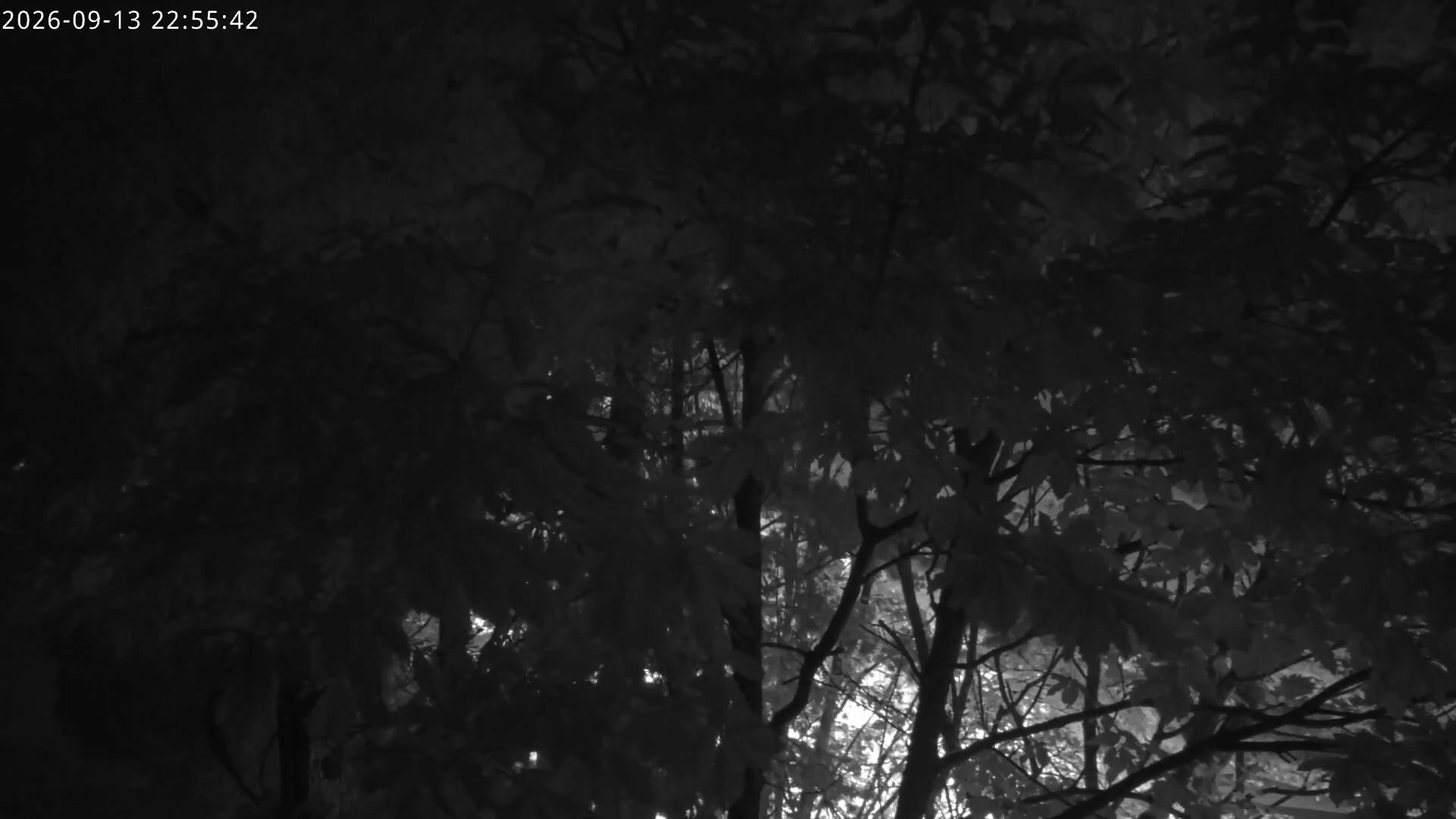 Hunter KIDS PARK snow cam captured at 13 September 2026 at 11:49 pm GMT+9
