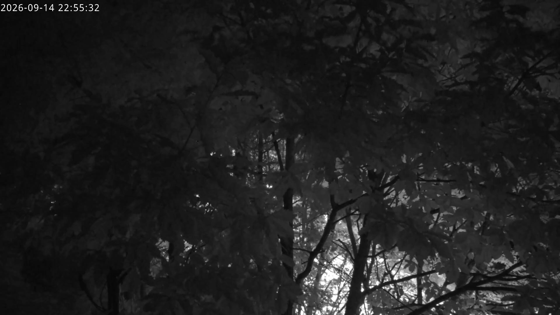 Hunter KIDS PARK snow cam captured at 14 September 2026 at 11:31 pm GMT+9