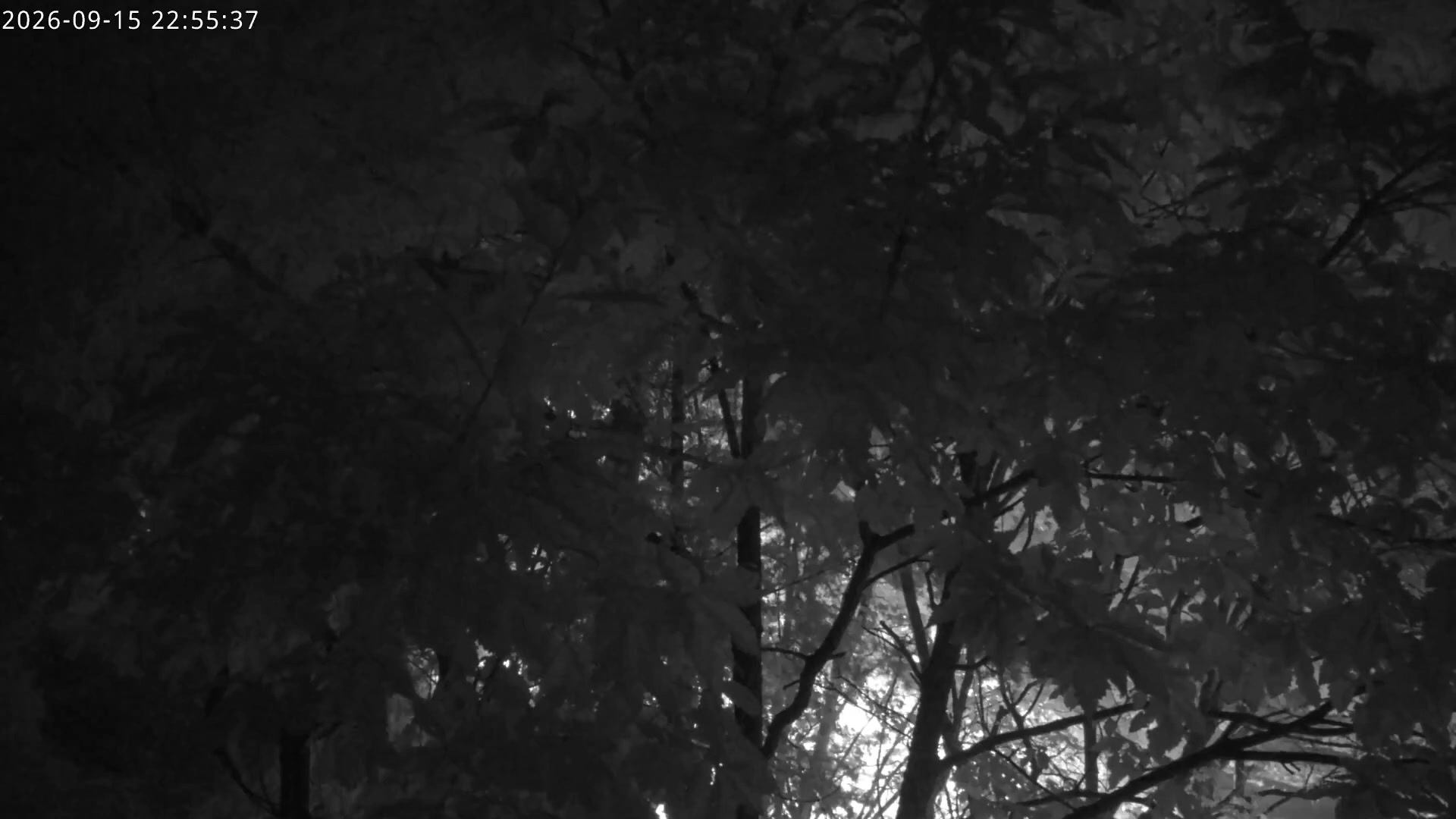 Hunter archive representative frame captured at 16 September 2026 at 12:56 am AEST