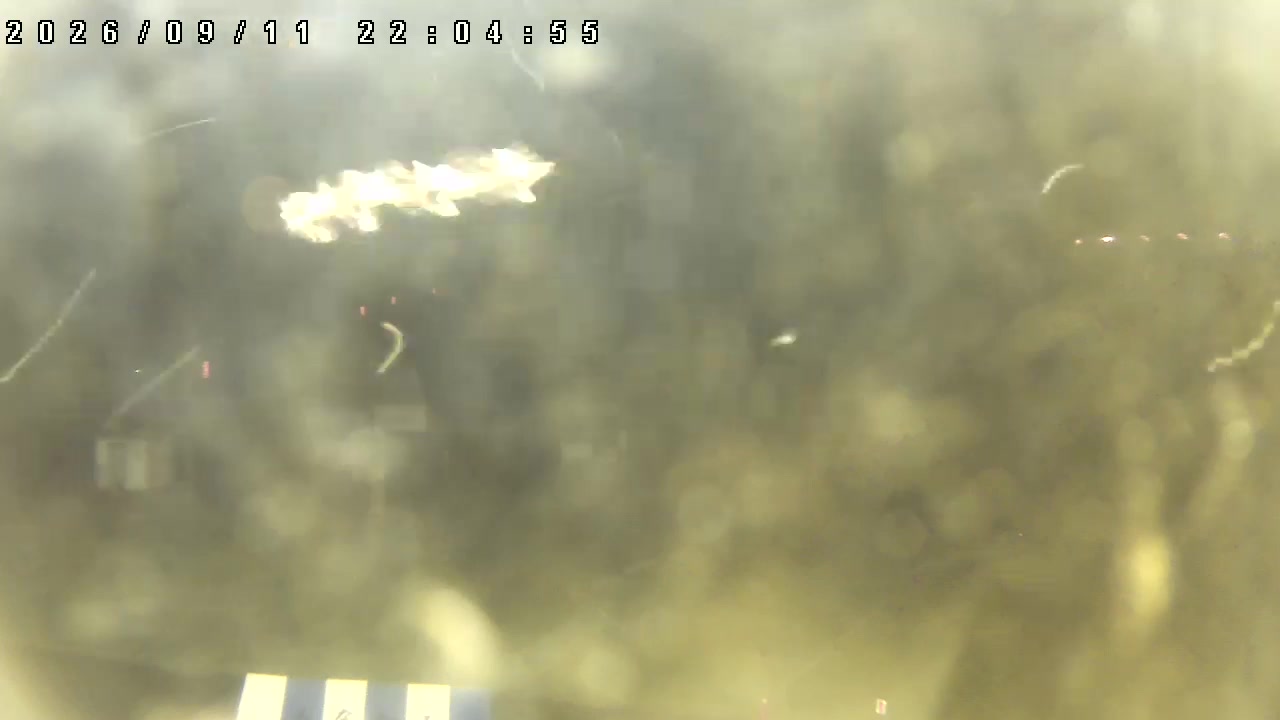 Hodaigi Family Slope snow cam captured at 11 September 2026 at 11:01 pm GMT+9