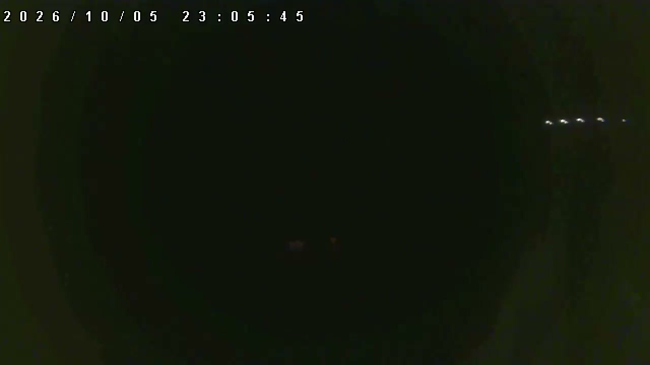 Hodaigi Family Slope snow cam captured at 5 October 2026 at 11:54 pm GMT+9