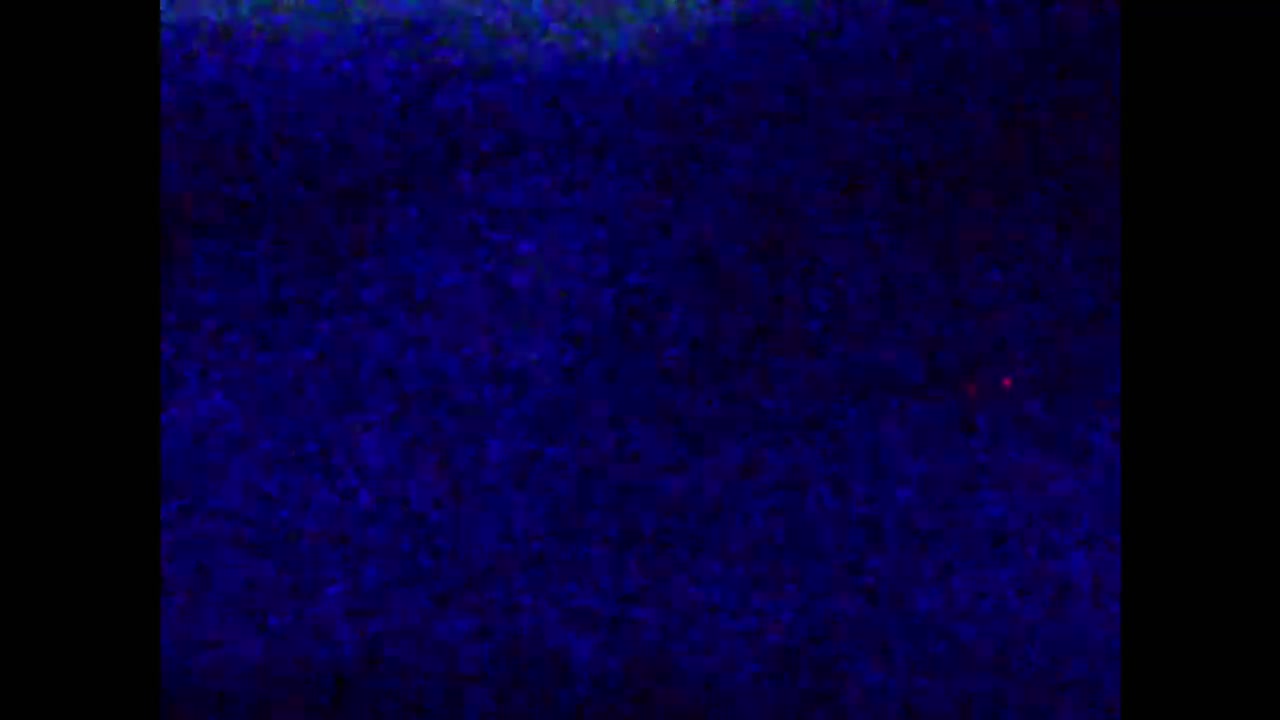 Kawaba 1,320m BASE AREA snow cam captured at 1 October 2026 at 11:47 pm GMT+9